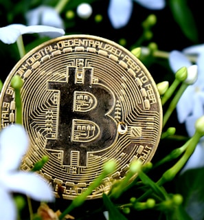 Executive Compensation