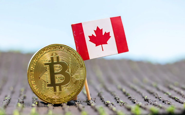 Canada Positioned for Blockchain Advantage Among G7 Nations
